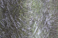 Wharf fibreglass roof work